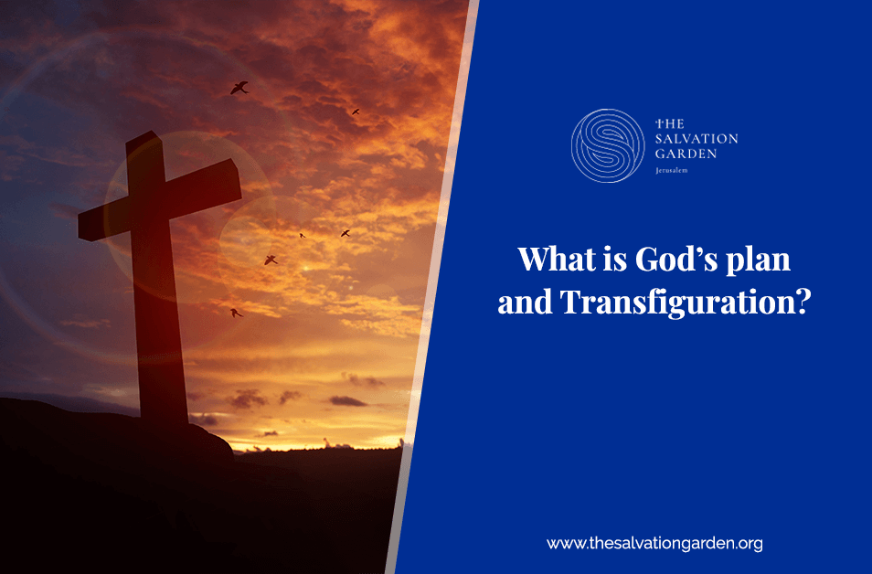 What is God’s plan and Transfiguration?